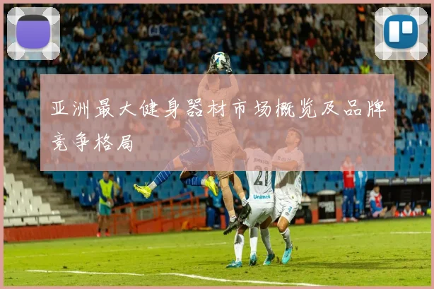 亚洲最大健身器材市场概览及品牌竞争格局