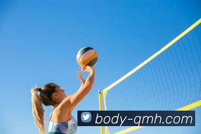 球盟会服务体系